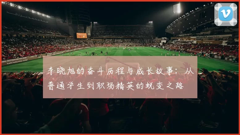李晓旭的奋斗历程与成长故事：从普通学生到职场精英的蜕变之路